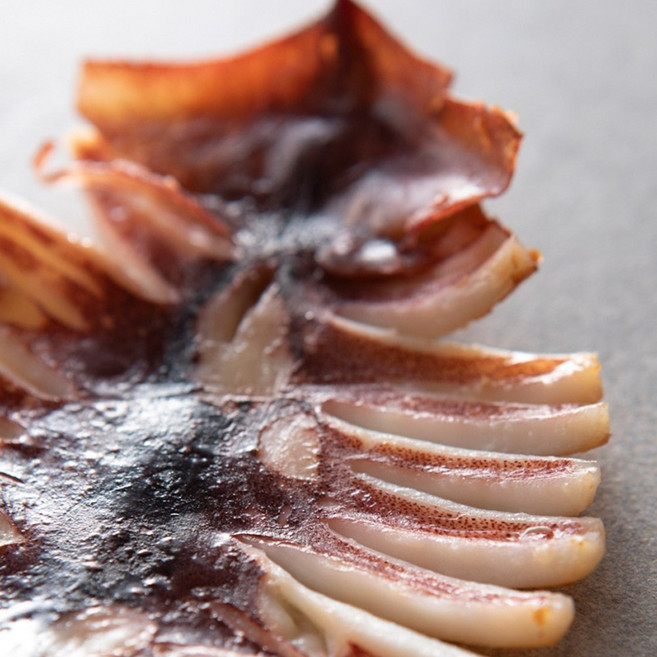 [구룡포] 구이용 캠핑용 술안주 쫀득한 식감 반건조 오징어 5미 진공포장 간지 추가, 5개, 반건조오징어 5미 550G 내외