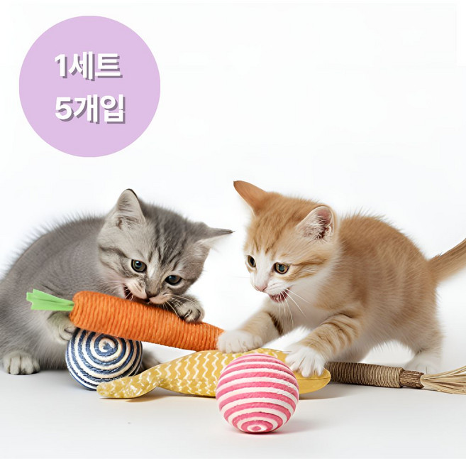 샤샤픽 이갈이 고양이 장난감, 1개, 5종