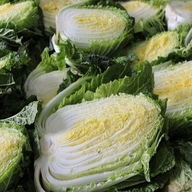 땅끝 절임배추20kg 해풍맞아 달고 풍부한 맛 절인배추, 01월10일도착, 1박스, 20kg