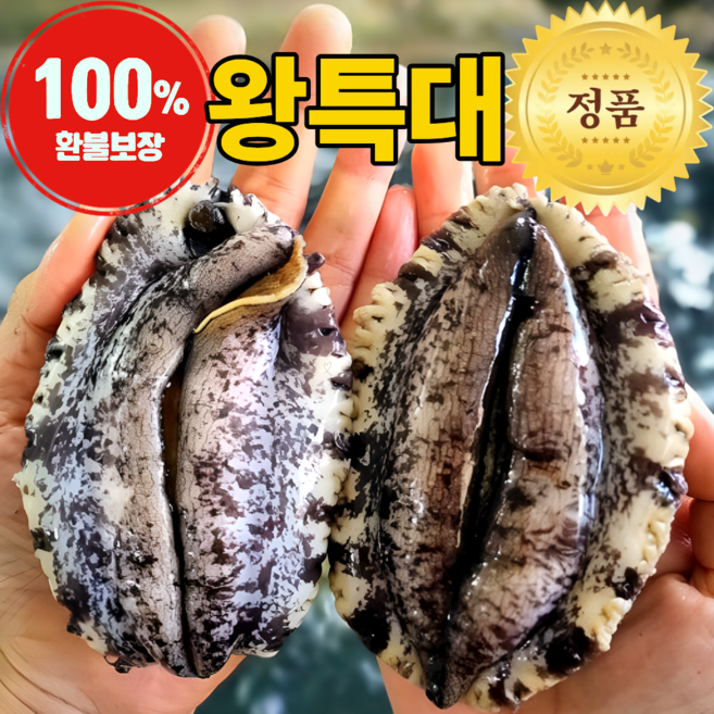 산지직송 완도 활전복 직거래, 1박스, 1kg(왕특대, 7~9미)
