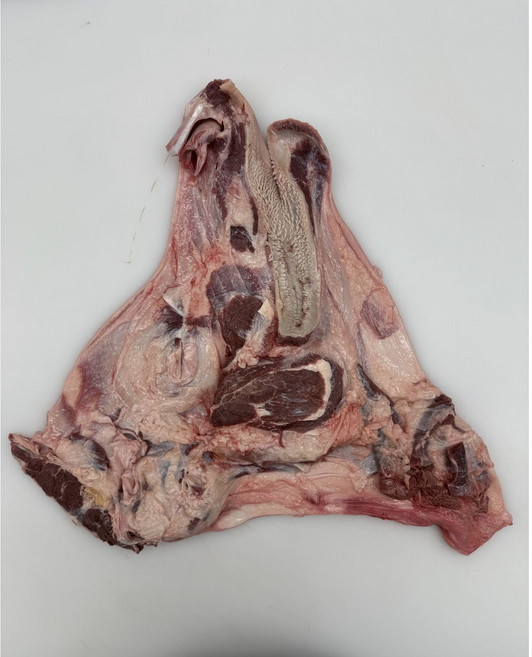 한우 소머리 암소머리 반마리 우족 2kg 잡뼈 1kg 우설 미포함, 1개, 7kg