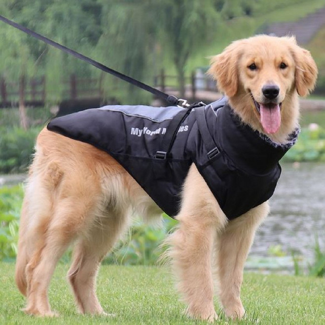 강아지 패딩 대형견 조끼 빅사이즈 겨울 옷 아우터 리드줄 고정 반사 광선 방수 고급