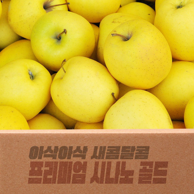 프리미엄 15브릭스 이상 고당도 정품 시나노 골드 황금사과 꿀사과, 1박스, 소과 5kg (23-28과)