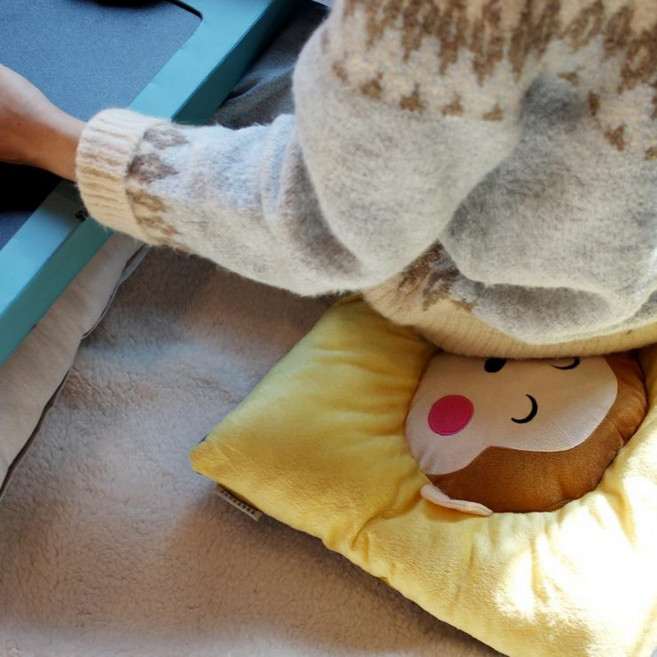 온방석 온열방석 usb연결 엉뜨 캐릭터 방석, 티거