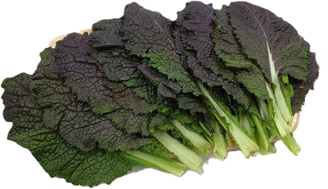 야채왕 적겨자 100g /300g/ 1kg /2kg 박스(1.8~2kg), 300g, 1개, 적겨자 300g