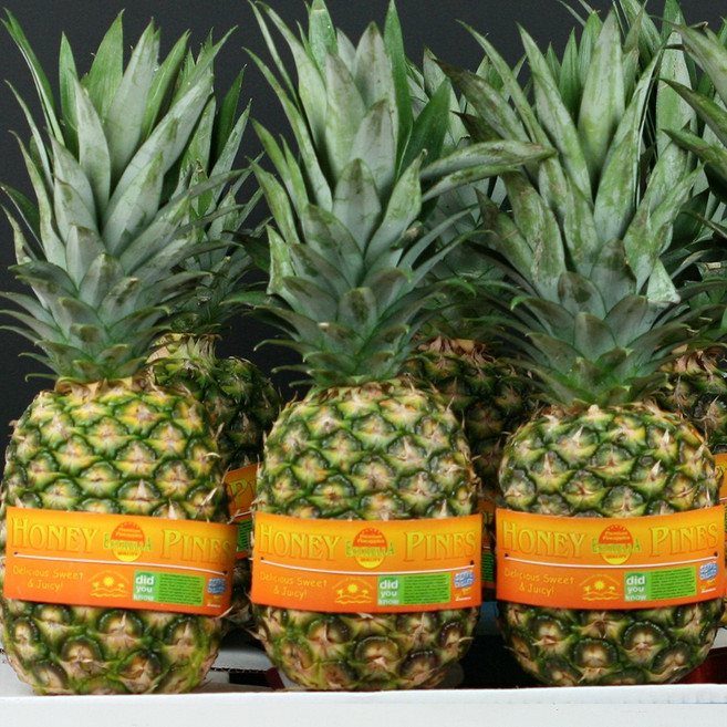 자연미가 고당도 골드파인애플 1박스 6~12입, 2.파인애플5입 6kg/중