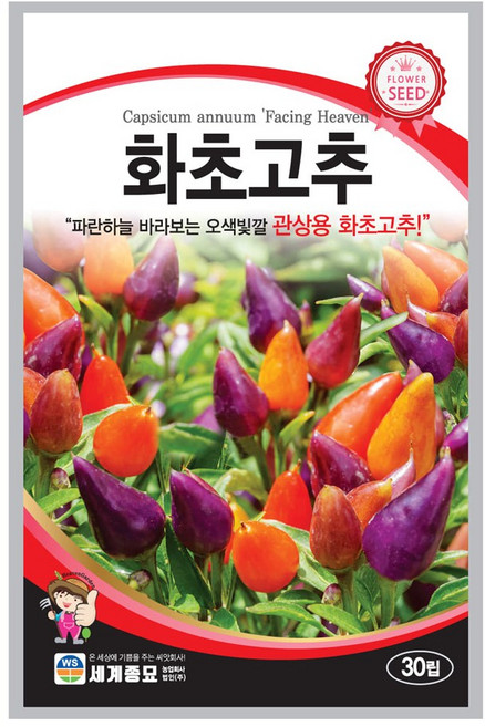세계종묘 화초고추 씨앗30립, 1개