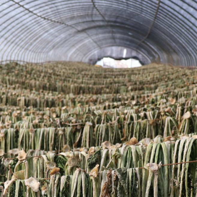 유기농 무청 시래기 무우 건조 시래기 무우청 500g 씨래기 건시래기 국산 건무청 말린채소 건야채, 1개
