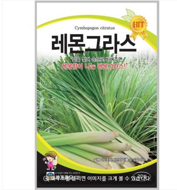 레몬그라스 20립 / 텃밭 종자 채소 허브 이색종자 CR