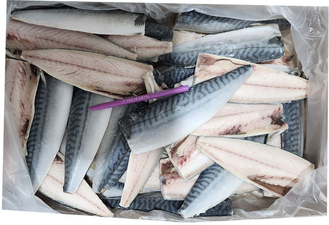 노르웨이고등어필렛5kg 1박스 40쪽내외 쪽당115-135g 노르웨이생산 가공 무염, 5kg