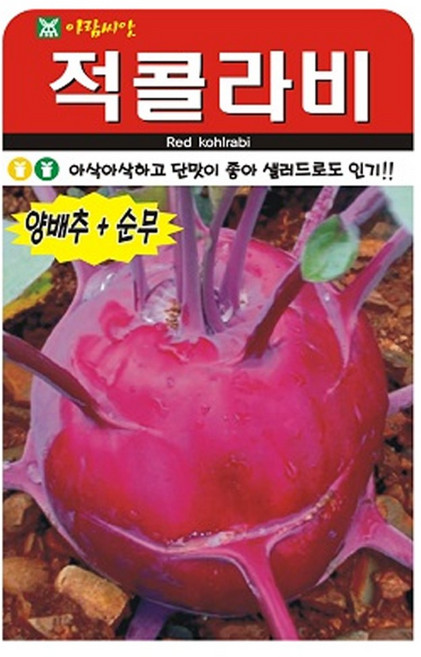 적콜라비 씨앗 종자 씨