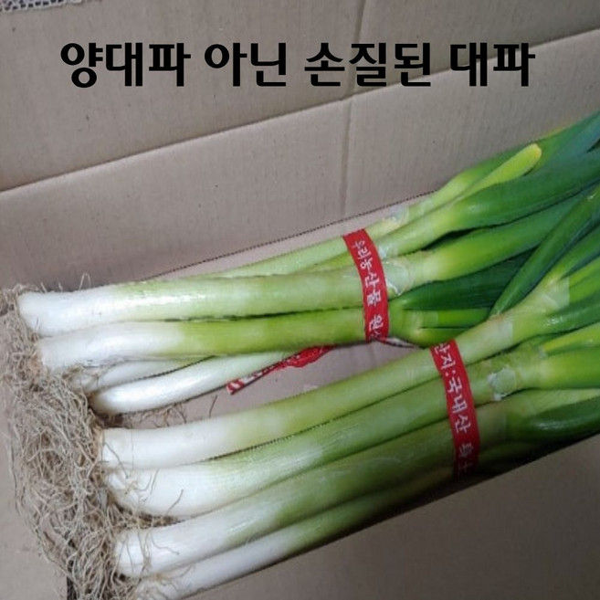국내산 손질 대파 1단 (2k 내외), 1kg, 1개