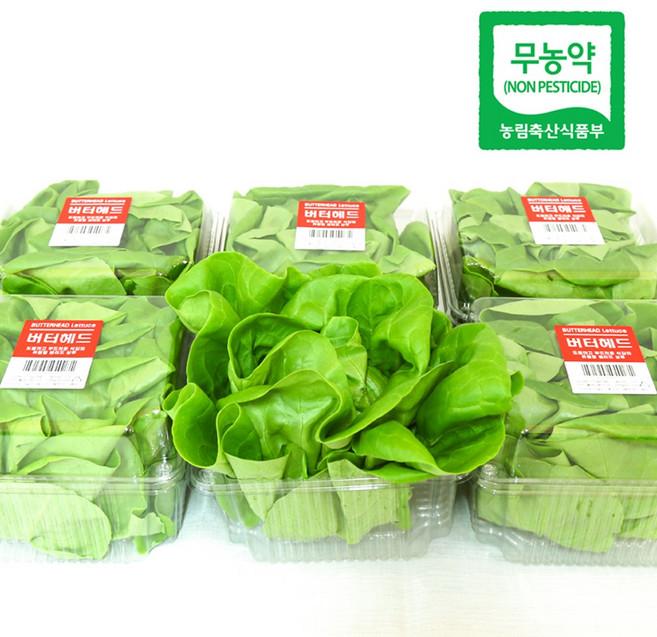 개별포장 버터헤드 무농약 유럽상추 샐러드채소 쌈채소 당일수확 산지직송 선물포장 리피, 110g, 6개