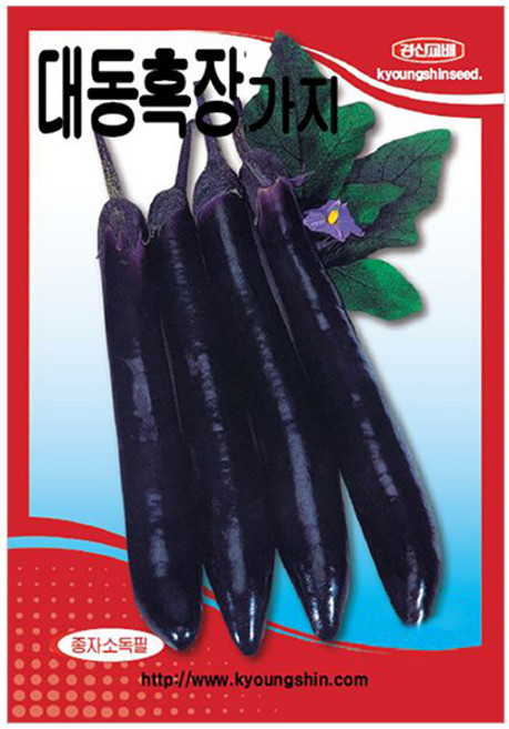 세인화분 대동 흑장가지 100립 - 씨 씨앗 가지씨 가지씨앗, 1개