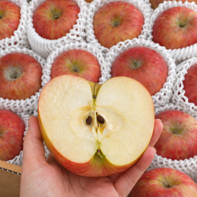 [70%초특가행사] 밀양 세척완료한 꿀가득 햇 부사 사과 5KG 대과, 1박스