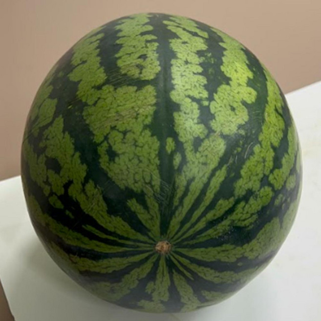 국내산 100% 고당도 정품 하우스 수박 3KG-10KG, 7-8kg, 1개