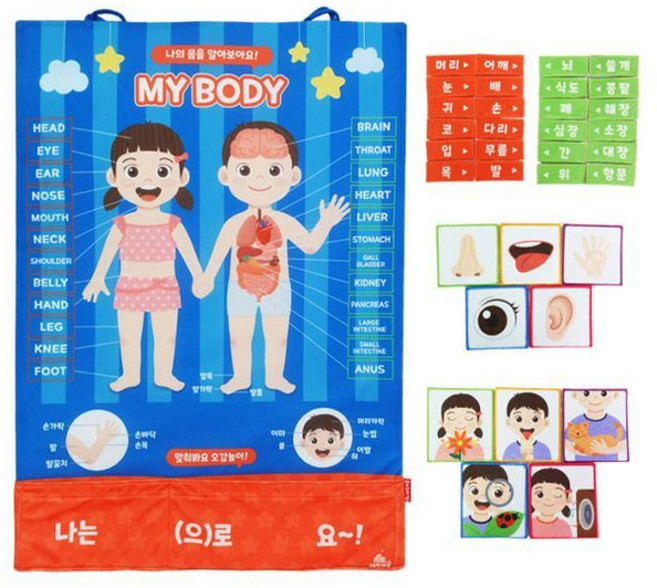 고품질차트 소중한 나의 몸배우기 1P 유치원 교구 학습완구, 단일상품2, 단일상품1, 단일상품0