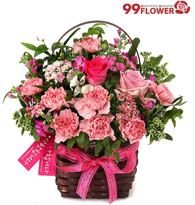 (오늘도착) 어버이날 카네이션 꽃바구니 핑크카네이션 생화 부모님선물 어버이날선물 카네이션꽃바구니 효도선물 당일꽃배달 [ST-A1642]