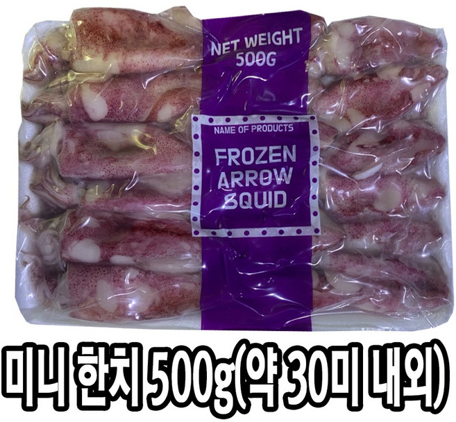 다인 냉동 미니 한치 500g (약 30미) 한입 총알 통찜용, 1개