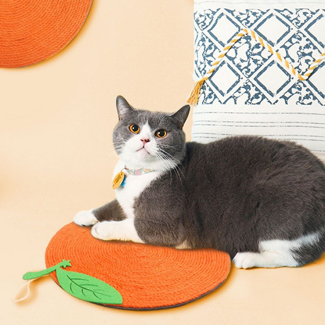 멍냥이랑 감 고양이 벽걸이 스크래쳐 cju+94465YY