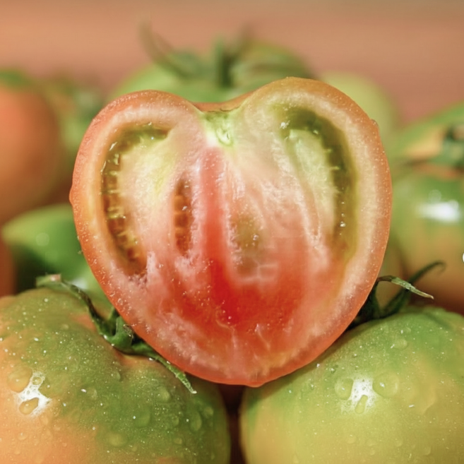 [단하루특가] 농장직송 대저 짭짤이 토마토, 1박스, 5kg 로얄소과 (S-2S)