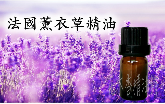法國真正薰衣草精油, 1個, 50ml
