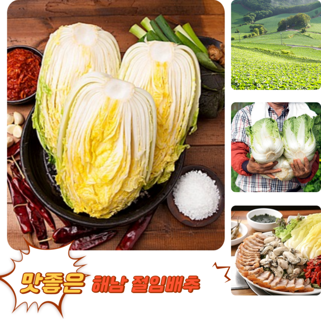 [굿피플] 맛있는절임배추 절인배추 김장 괴산 해남강원도배추, 10kg, 1개, 절임배추(3~5포기) 출고희망일