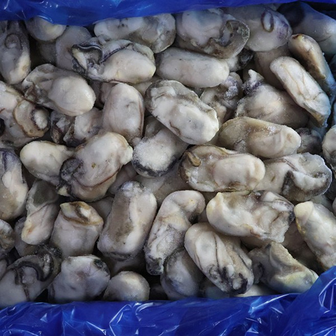 삼둥이수산 통영 냉동 굴 10kg 대(M) 최상급 급냉, 아이스팩추가