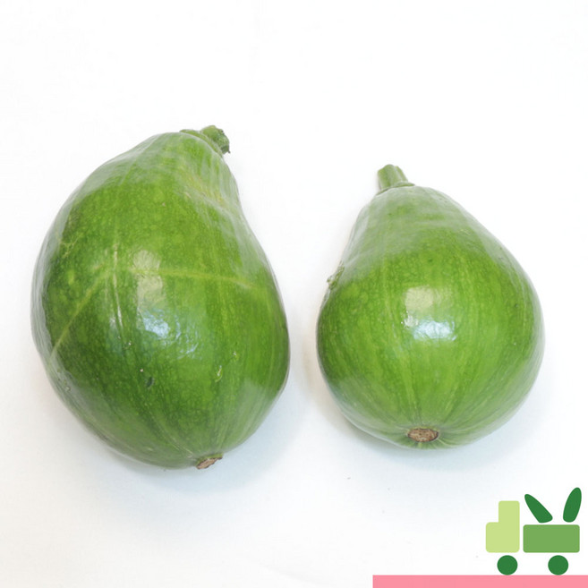 풋호박 (둥근호박) 5Kg (상), 1세트