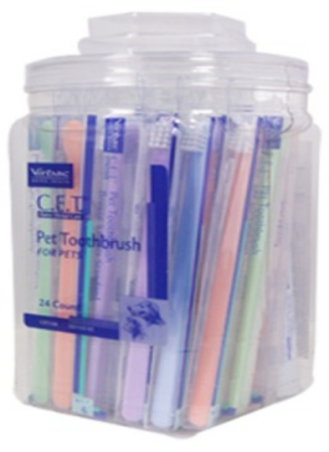 버박 C.E.T 미니 칫솔 1P (색상랜덤), 1개, 랜덤 발송