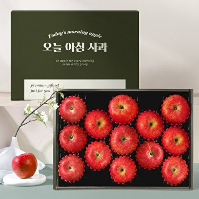 기타 T_[오늘아침사과] 사과 선물세트 3kg 13과, 1박스