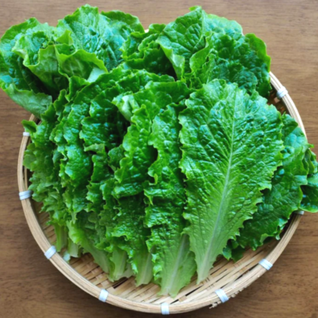 당일경매하여 신선한 국내산 산지직송 쌈채소 청상추, 1박스, 1kg