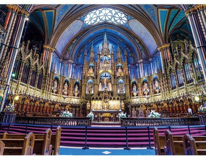 1000피스 직소퍼즐 노르트담 대성당 내부 CA1164, 단품, 1000조각, 퍼즐유액 포함, 1개