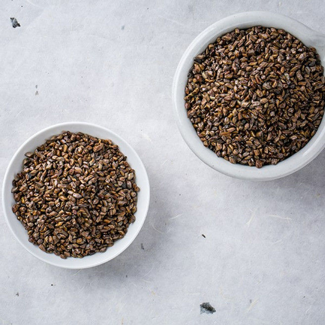 한가람건강원 수입산 결명자 결명초 씨앗 효능 약재 약초 300g, 1개, 1개, 1개입