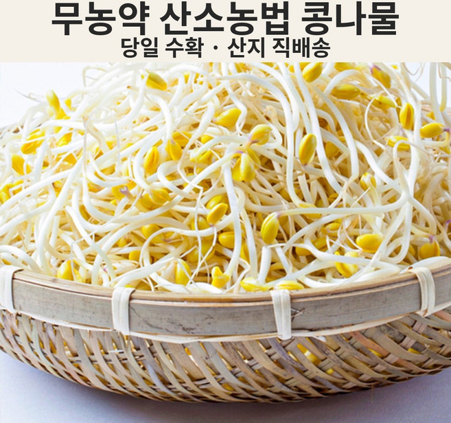 무농약 콩나물 산소재배 아삭한 중간굵기 무침용 (1kg/2kg/3kg) 산지직송, 2kg, 1개