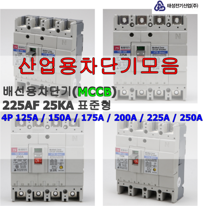 태성전기 배선용차단기 MCCB NFB 4P 3상4선식 200AF 국내생산 KS인증, 225A, 1개