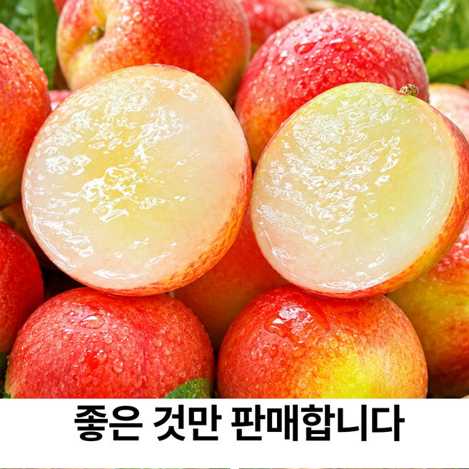 (BEST 1위) 초고당도 산지직송 신비복숭아 프리미엄, 1개, 로얄과 2kg