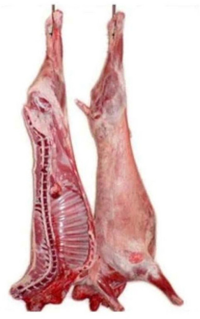 [행복미트] 호주산 껍데기없는 염소 고기 토막 절단 지육 (고기+뼈) 5kg내외 Halal Goat Meat [당일발송], 5kg, 1개