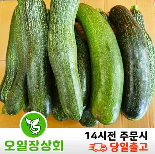 < 오일장상회 > 국내산 쥬키니호박 주키니호박 못난이호박 가정용 1kg 2kg 3kg 내외, 1개, 가정용3kg