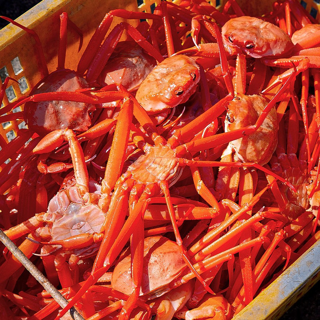 라면홍게 4kg 육수용 몸통 50%내외 다리 70%내외, 1박스