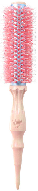 아타라 체리블로썸 드라이 롤빗 돈모 헤어 롤 브러쉬, 체리블로썸 22, 1개