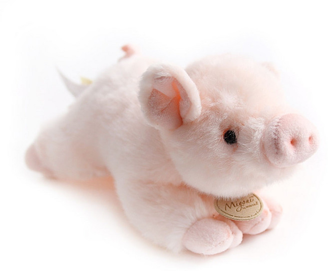 MIYONI 돼지인형-21cm, 1개