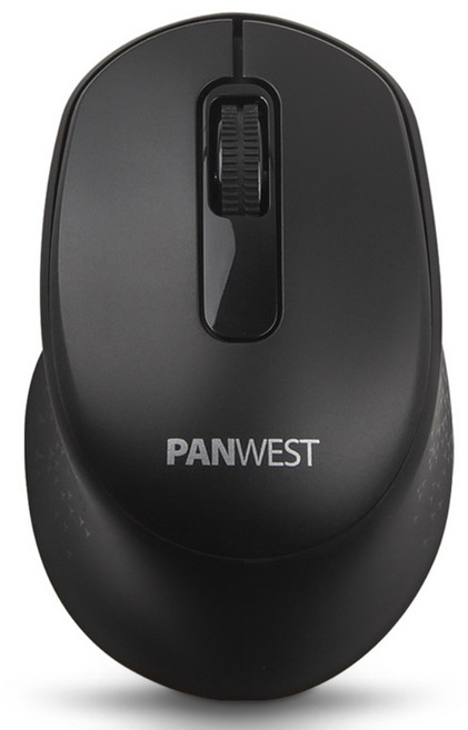 팬웨스트 무선 마우스, PANWEST-PW815, 블랙