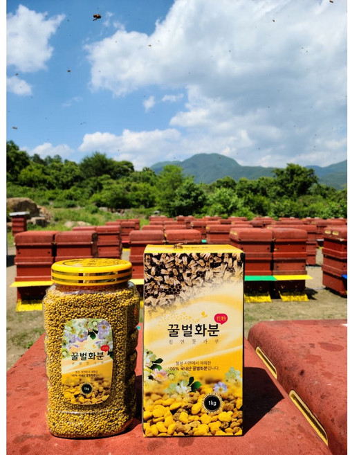 26년 햇 화분 지리산 꿀벌화분 국내산 산지직송, 1kg, 1개