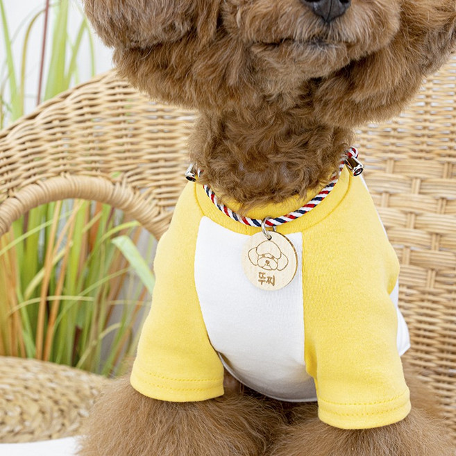 반려동물 일러스트 강아지 고양이 나무 인식표 우드 목걸이, 스타, 원형이름표, 1개