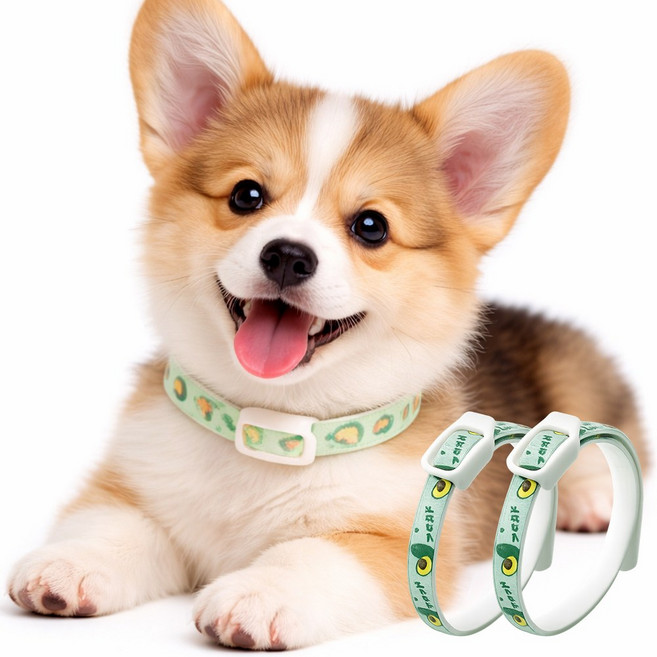 로로포우 강아지 해충방지 목걸이, 2개, 52ml, 초록