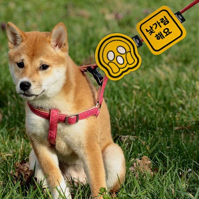 크레이티브펫 산책 메시지 도우미 와펜, 50_코커 스패니얼