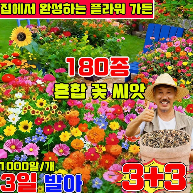 플라워가든 프리미엄 씨앗 노지 월동 다년생 꽃 씨앗 4계절 꽃 씨앗 혼합 꽃씨앗 꽃바다조합씨앗 집에서 완성하는 플라워 가든 프리미엄 씨앗 세트, 6개
