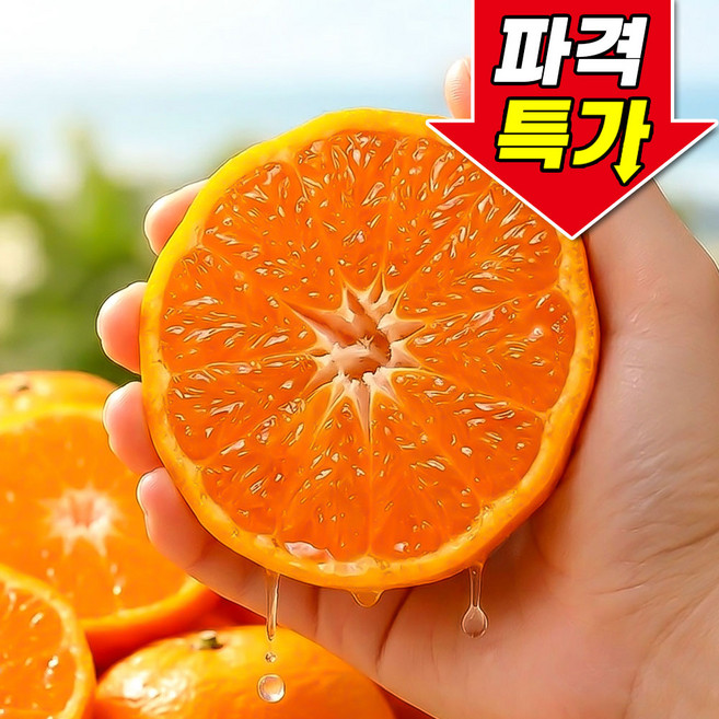 [꿀팜즈] 제주 카라향 상큼꿀맛 초고당도, 1박스, 2kg