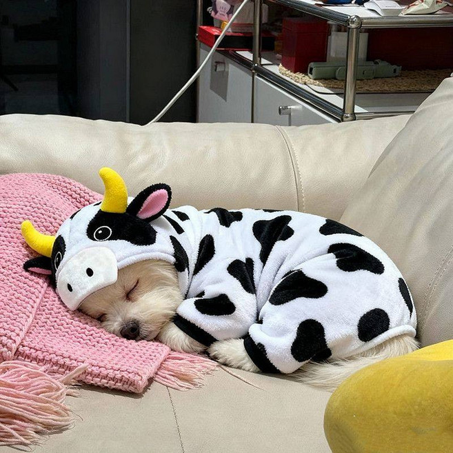 강아지 옷 고양이 옷 가을 겨울 귀여운 보온 웃긴 얼룩소 옷 펫옷 동물옷, 핑크 작은 돼지 두꺼운 보온